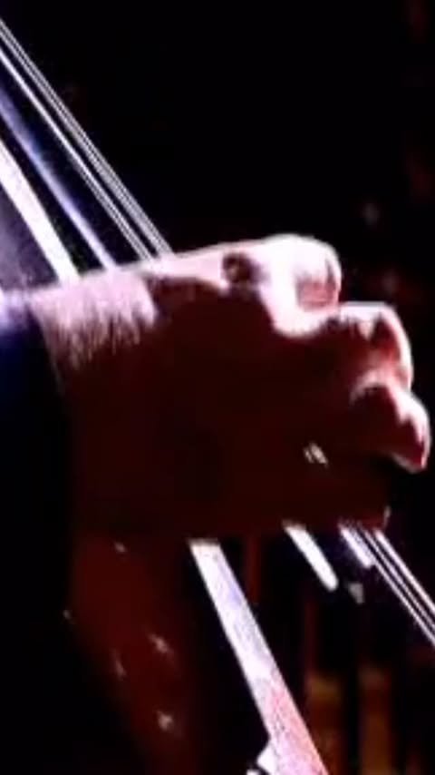 Julian Lloyd Webber